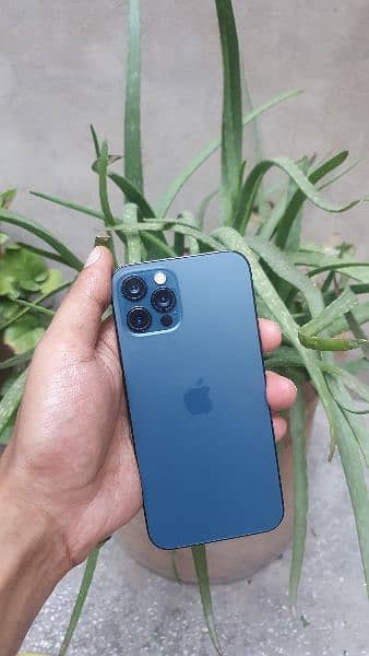 iphone 12 pro 256GB Non Pta 1