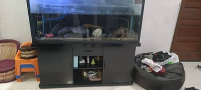 aquarium for sale