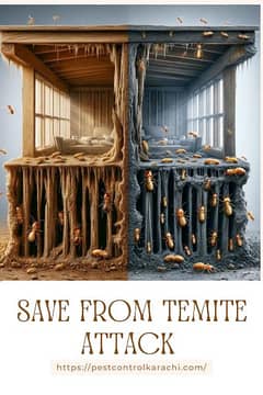 termite control services in Karachi
