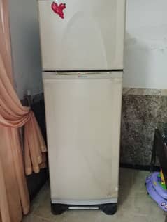 Dawlance two door fridge