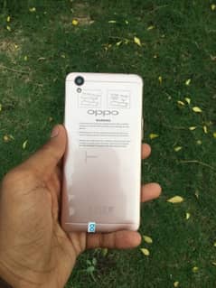 Oppo