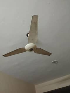 Ac/Dc Fans Ceiling Fan