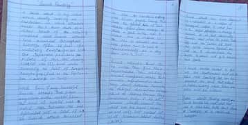 I am professional Urdu & English assignment in low cast