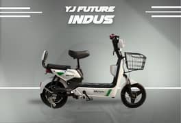 Electric Scooty yj future indus 450 watt 6 MONTH WARRANTY
