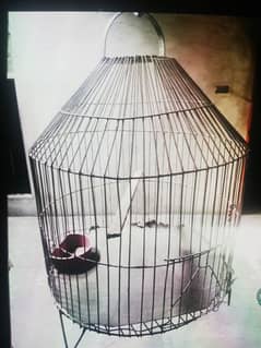 Metallic Small Bird Cage