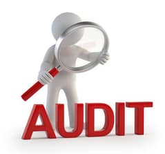 Audit Manager Required