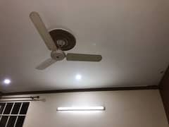 5 fans for sale  4500 each