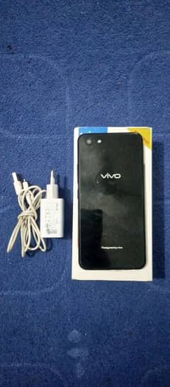 Vivo