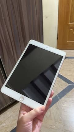 Apple Ipad Mini 1