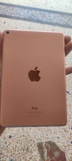 Ipad mini 5