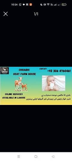 Goat Milk for sale Rs. 550 per kilo