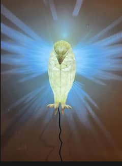 Eagle Wings Projector 0