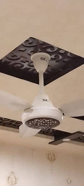 SK Fan for sale 9