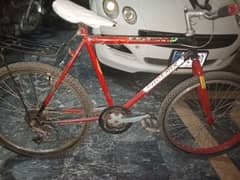 phonex off road bicycle for sale in low price