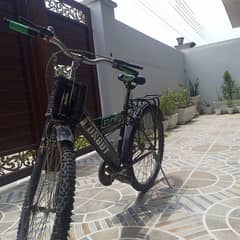 mountain bike 24"