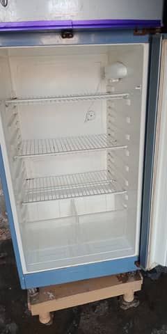 Haier Large Size Fridge