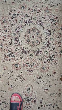 carpet