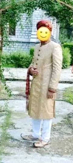 Complete Sherwani with suit 10/10