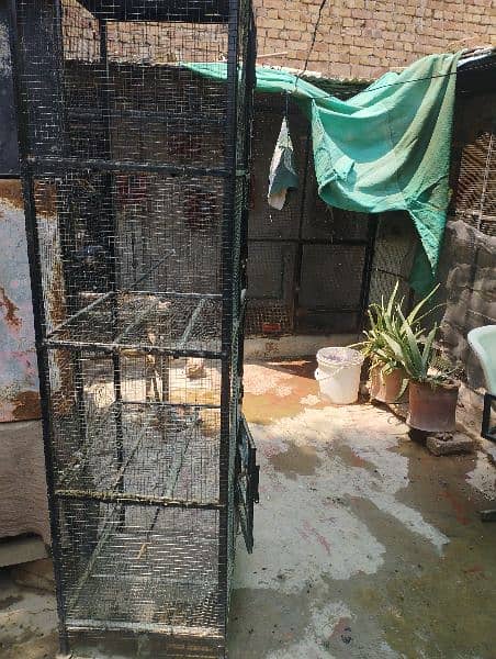 4 portion iron cage best for parrots and pigeon good quality 1