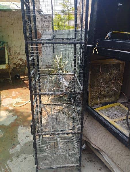 4 portion iron cage best for parrots and pigeon good quality 2