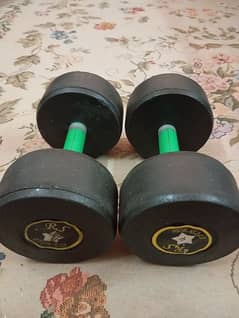 8KG Dumbbells