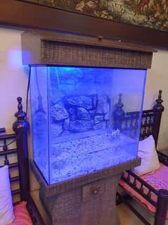 Aquarium for sale