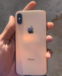 Iphone Xs 256 Pta