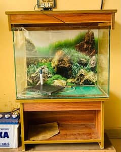 Fish aquarium