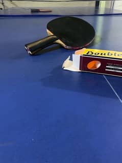 Table tennis table with net