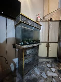 Fish Aquarium (urgent sale)