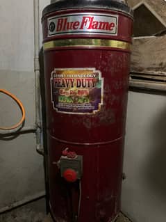 geyser for sale