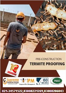 Termite Control in DHA