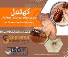 fumigation / bed bugs control / termite control