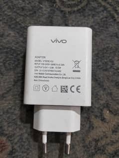 Vivo orgnal charger