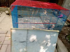 birds cage avai6