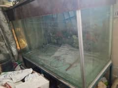 Aquarium Fisheries