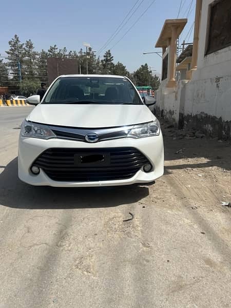 Toyota Corolla Axio G  2015/2019. pearl white . b2b. 4 grade . 0