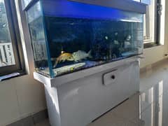 aquarium 4 feet with accessories