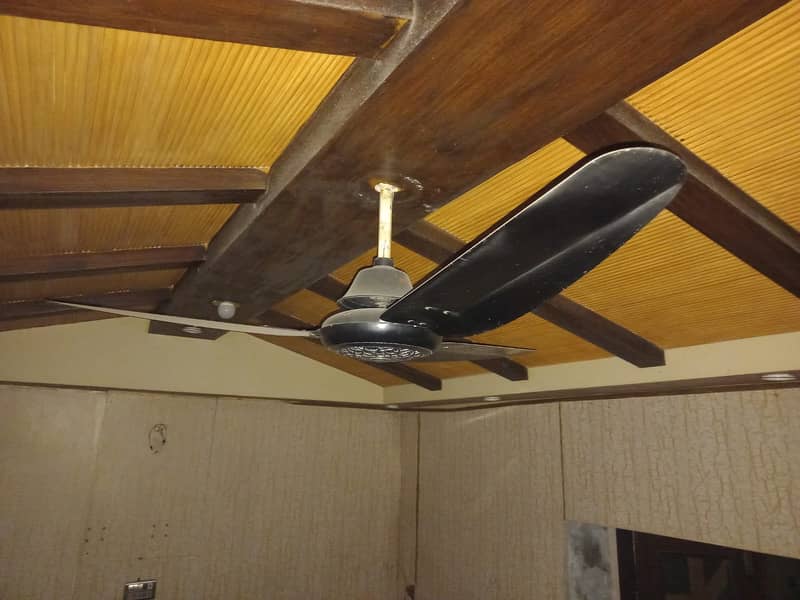 Ceiling Fan Black Color AC 220V conditioni 10/10 1