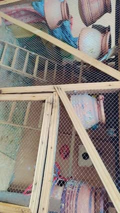 sell all parrot with cage