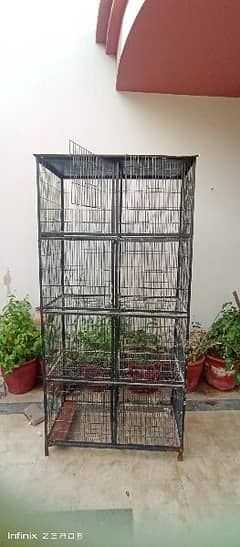 Hens, Birds cages