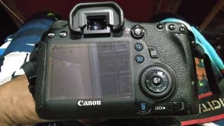 Canon 6D