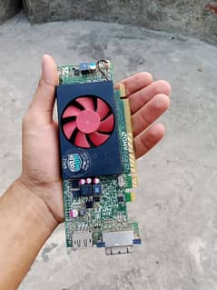 computer hard disk and graphic Card
