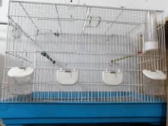 Canary Cage