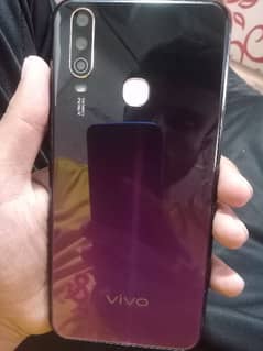 VIVO