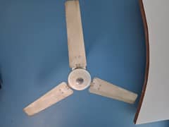 Ceiling Fan available for sale