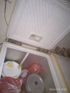 Double Door Freezer