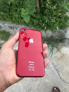 iphone xr  *read AD* price slightly negotiable