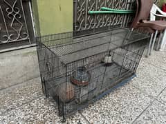 Cage for Birds