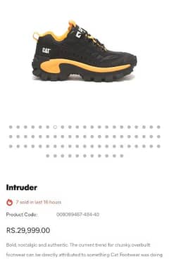 CAT Footwear Intruder